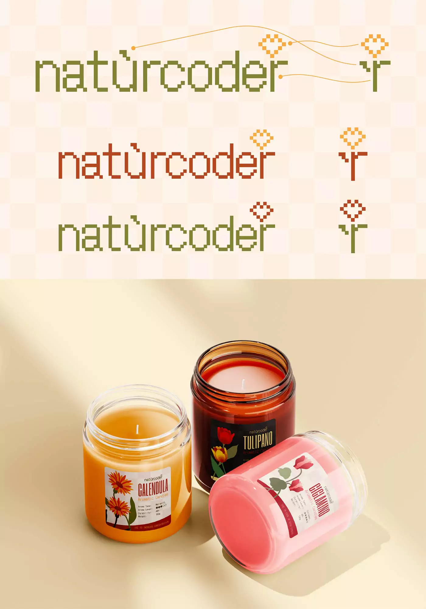 logo di Naturcoder con relativo brandmark e visualizzazione del suo packaging