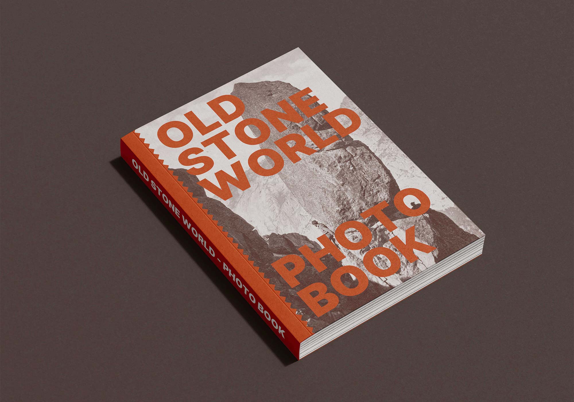 mock-up rappresentante la copertina del libro Old Stone World