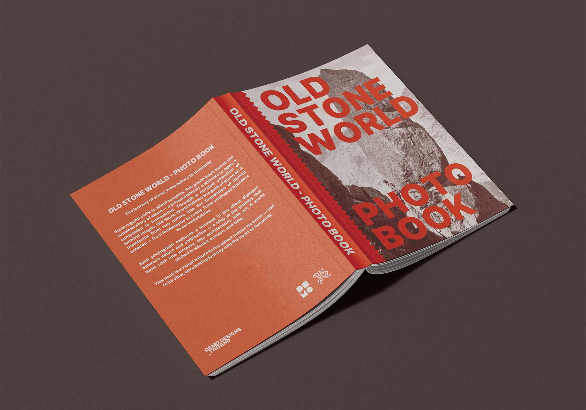 libro Old Stone World aperto a faccia in giù che mostra fronte e retro