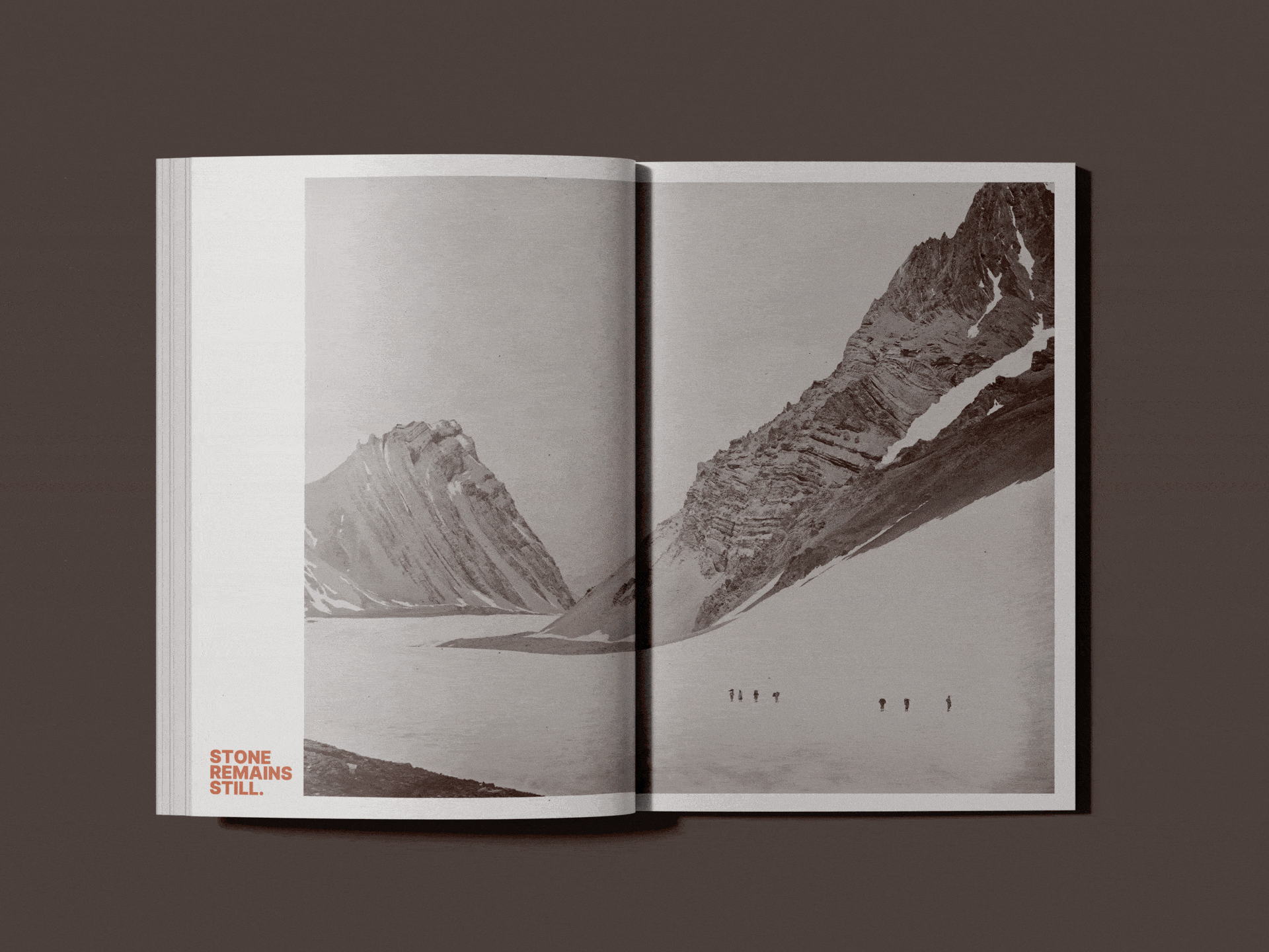 video contenente panoramica sulle pagine interne del libro Old Stone World
